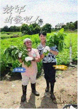 沉默的证词剧集海报，天天看高清影视在线观看悬疑剧场